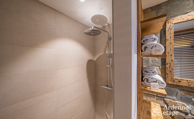 Ruime vakantiewoning voor 15 personen in Hotton, Ardennen, met 6 slaap- en badkamers, haardvuur, biljart en terras met vuurkorf