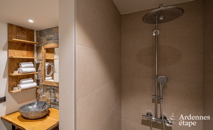 Ruime vakantiewoning voor 15 personen in Hotton, Ardennen, met 6 slaap- en badkamers, haardvuur, biljart en terras met vuurkorf