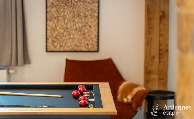 Ruime vakantiewoning voor 15 personen in Hotton, Ardennen, met 6 slaap- en badkamers, haardvuur, biljart en terras met vuurkorf