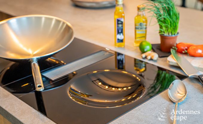 Ruime vakantiewoning voor 15 personen in Hotton, Ardennen, met 6 slaap- en badkamers, haardvuur, biljart en terras met vuurkorf