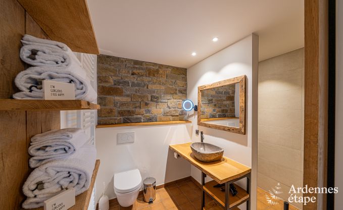 Ruime vakantiewoning voor 15 personen in Hotton, Ardennen, met 6 slaap- en badkamers, haardvuur, biljart en terras met vuurkorf