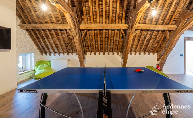 Ruime vakantiewoning voor 15 personen in Hotton, Ardennen, met 6 slaap- en badkamers, haardvuur, biljart en terras met vuurkorf