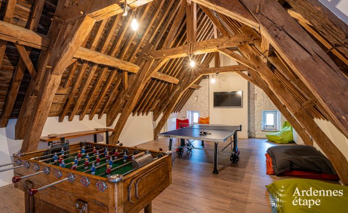 Ruime vakantiewoning voor 15 personen in Hotton, Ardennen, met 6 slaap- en badkamers, haardvuur, biljart en terras met vuurkorf