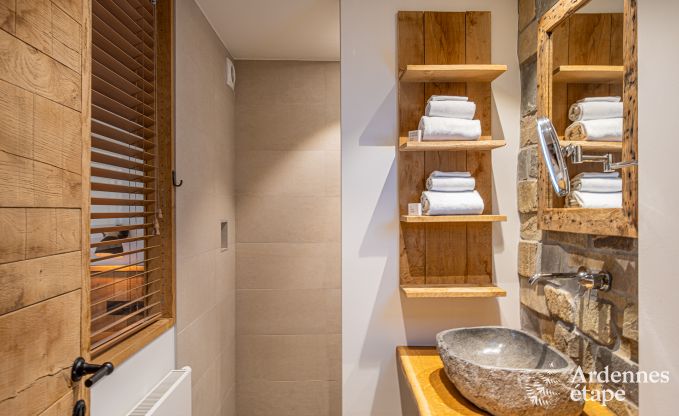 Ruime vakantiewoning voor 15 personen in Hotton, Ardennen, met 6 slaap- en badkamers, haardvuur, biljart en terras met vuurkorf