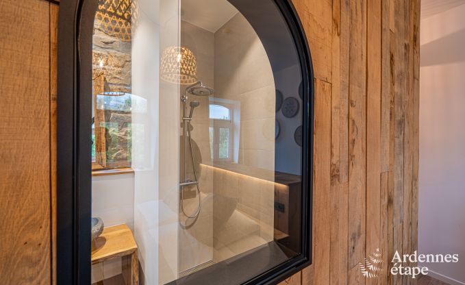 Ruime vakantiewoning voor 15 personen in Hotton, Ardennen, met 6 slaap- en badkamers, haardvuur, biljart en terras met vuurkorf