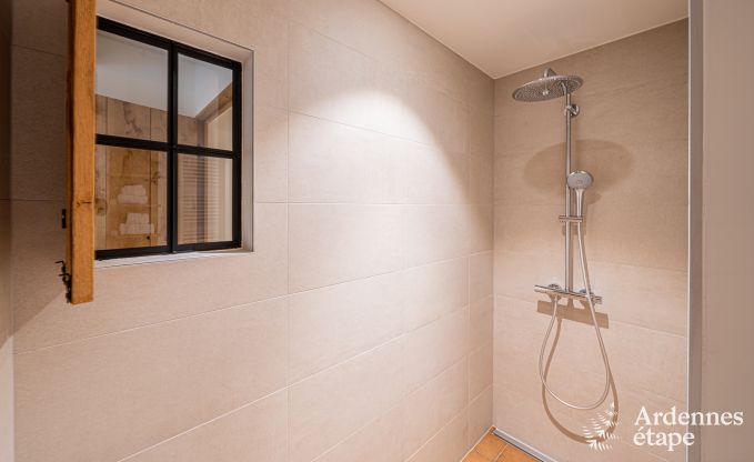 Ruime vakantiewoning voor 15 personen in Hotton, Ardennen, met 6 slaap- en badkamers, haardvuur, biljart en terras met vuurkorf