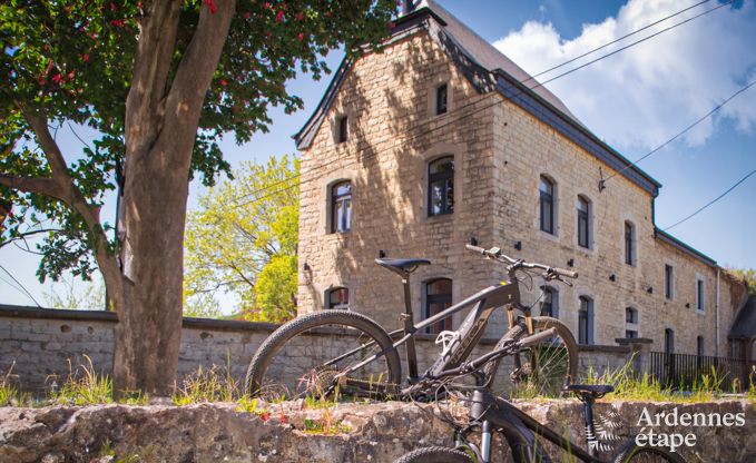 Ruime vakantiewoning voor 15 personen in Hotton, Ardennen, met 6 slaap- en badkamers, haardvuur, biljart en terras met vuurkorf