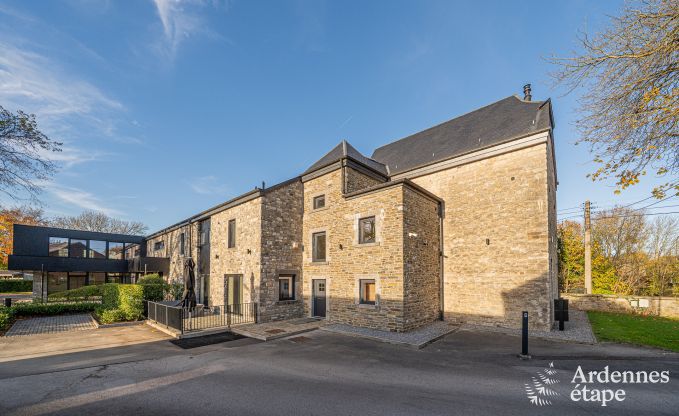 Ruime vakantiewoning voor 15 personen in Hotton, Ardennen, met 6 slaap- en badkamers, haardvuur, biljart en terras met vuurkorf