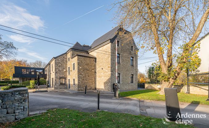 Ruime vakantiewoning voor 15 personen in Hotton, Ardennen, met 6 slaap- en badkamers, haardvuur, biljart en terras met vuurkorf