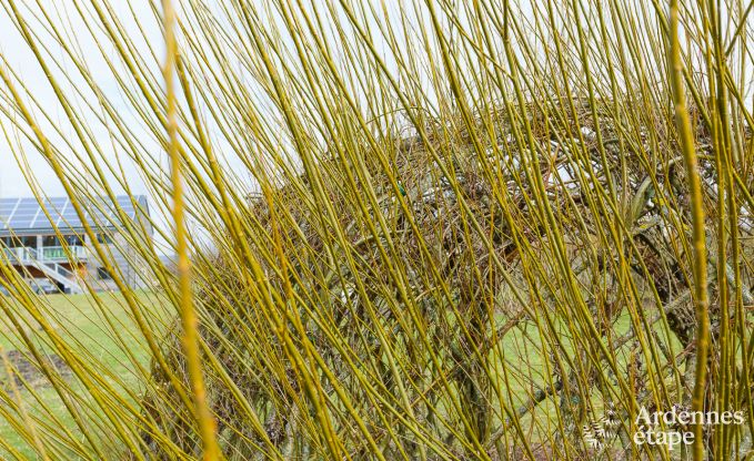 Vakantiehuis in Houffalize (Engreux) voor 9 personen in de Ardennen