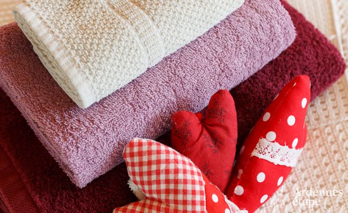 Vakantiehuis in Houffalize (Engreux) voor 9 personen in de Ardennen