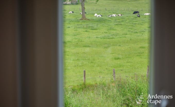 Tiny house aan het natuurreservaat Canal de Bernistap in Houffalize, Ardennen