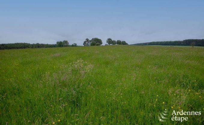 Tiny house aan het natuurreservaat Canal de Bernistap in Houffalize, Ardennen