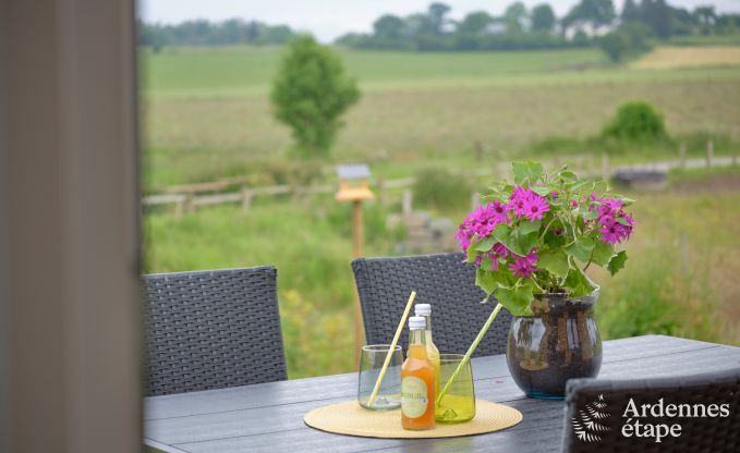 Tiny house aan het natuurreservaat Canal de Bernistap in Houffalize, Ardennen