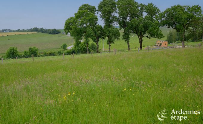 Tiny house aan het natuurreservaat Canal de Bernistap in Houffalize, Ardennen