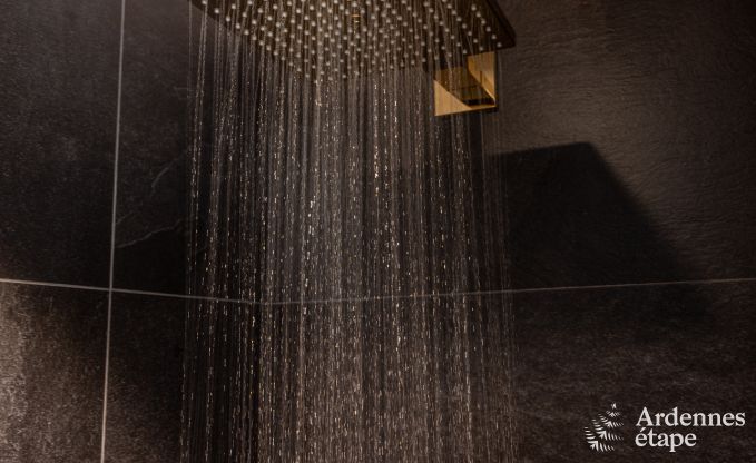 Luxe villa in Houffalize voor 10/12 personen in de Ardennen