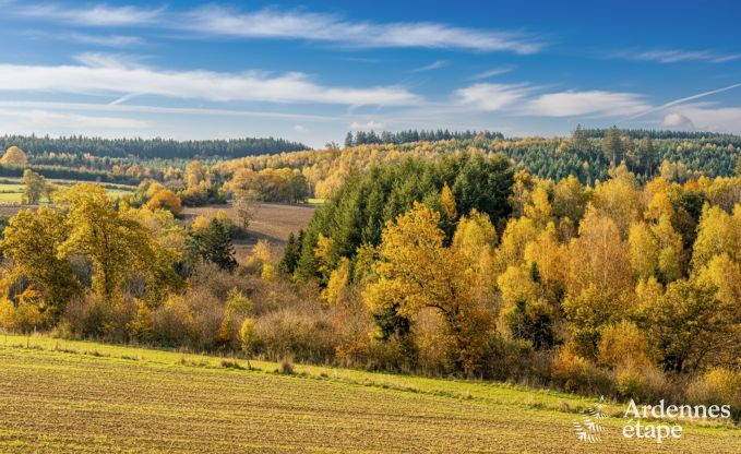 luxe villa in Houffalize: accommodatie voor 18 personen met zwembad, sauna en priv� tuin in de Ardennen