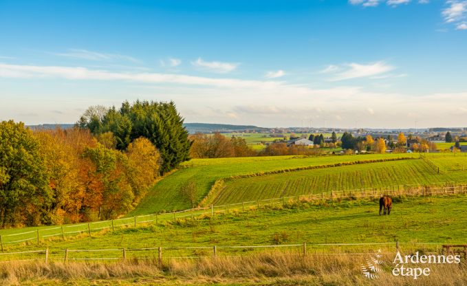 Luxe villa in Houffalize: accommodatie voor 22 personen met zwembad, sauna en tuin in de Ardennen