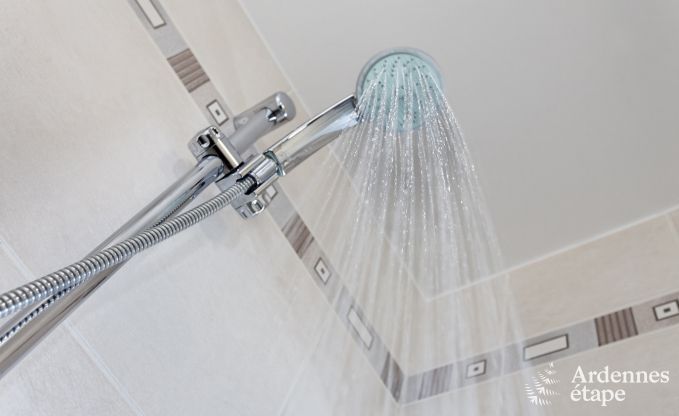 Vakantiehuis in Houffalize voor 12 personen in de Ardennen