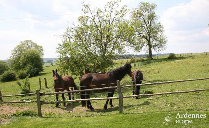 Vakantiehuis in Houffalize voor 12 personen in de Ardennen
