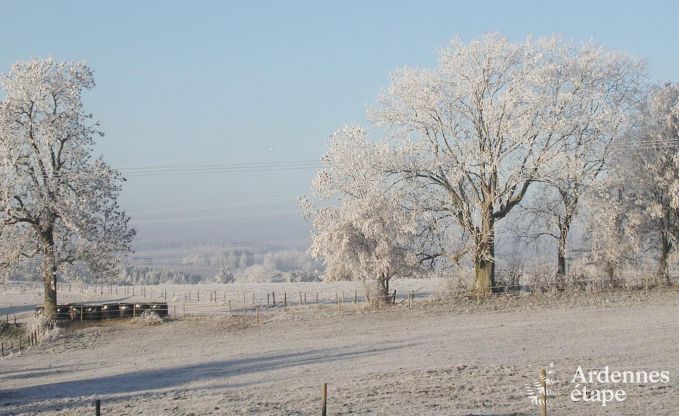 Vakantiehuis in Houffalize voor 12 personen in de Ardennen