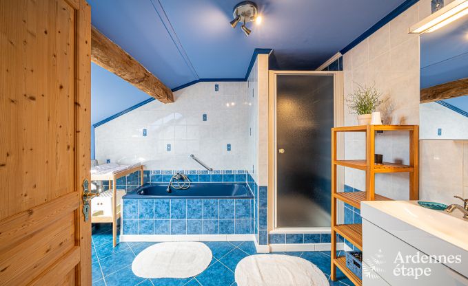 Vakantiehuis in Houffalize voor 11 personen in de Ardennen