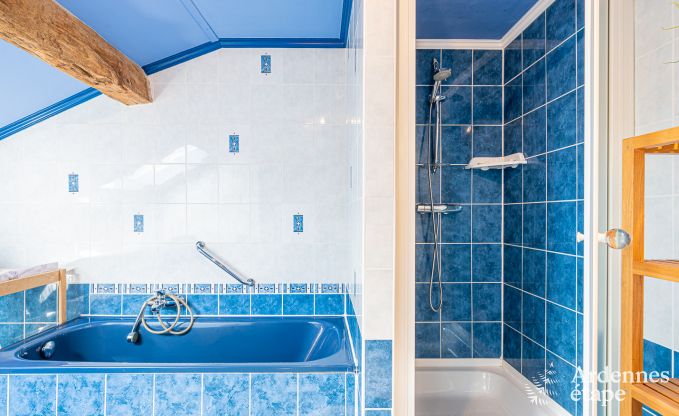 Vakantiehuis in Houffalize voor 11 personen in de Ardennen