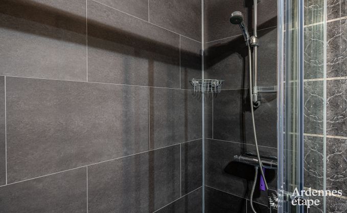 Vakantiehuis in Houffalize voor 11 personen in de Ardennen