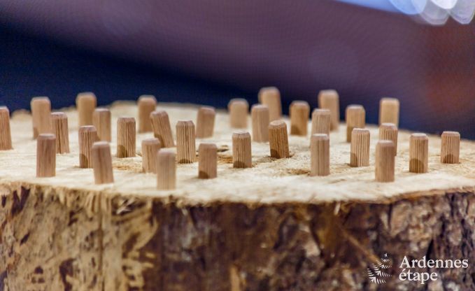 Vakantiehuis in Houffalize voor 9 personen in de Ardennen