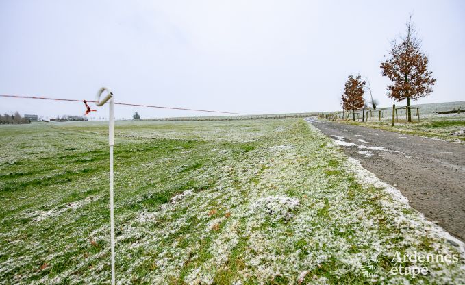 Vakantiehuis in Houffalize voor 2/4 personen in de Ardennen