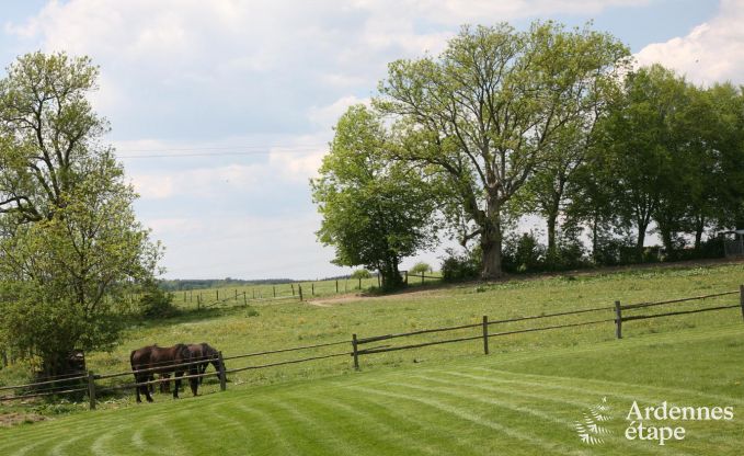 Vakantiehuis in Houffalize voor 16 personen in de Ardennen