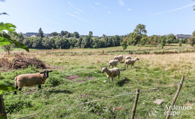 Vakantiehuis in Houffalize voor 16 personen in de Ardennen