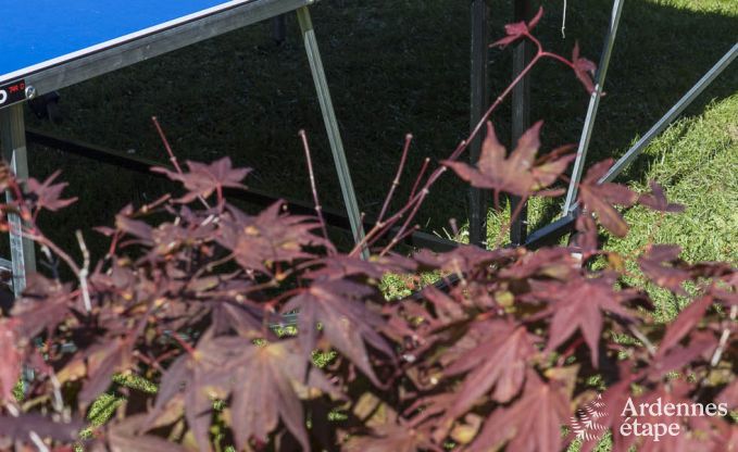 Vakantiehuis in Houffalize voor 14 personen in de Ardennen