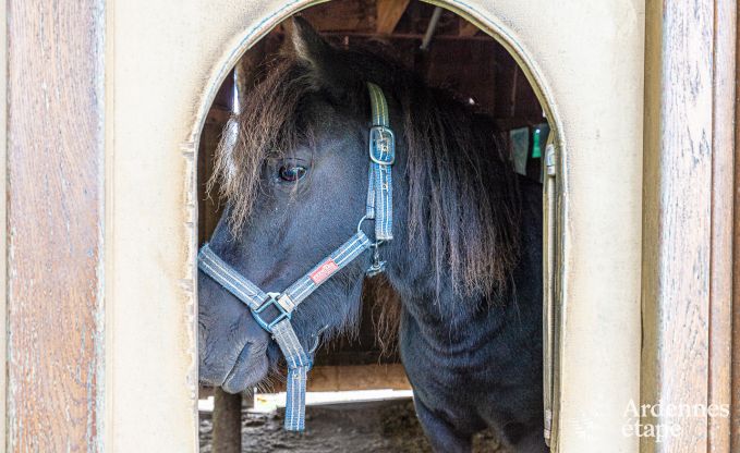 Vakantiehuis in Houffalize voor 10/12 personen in de Ardennen