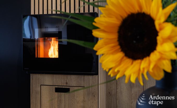 Hondvriendelijk vakantiehuis voor 8 personen in Houffalize