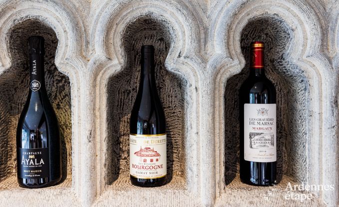 Hondvriendelijk vakantiehuis voor 8 personen in Houffalize