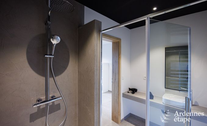 Hondvriendelijk vakantiehuis voor 8 personen in Houffalize