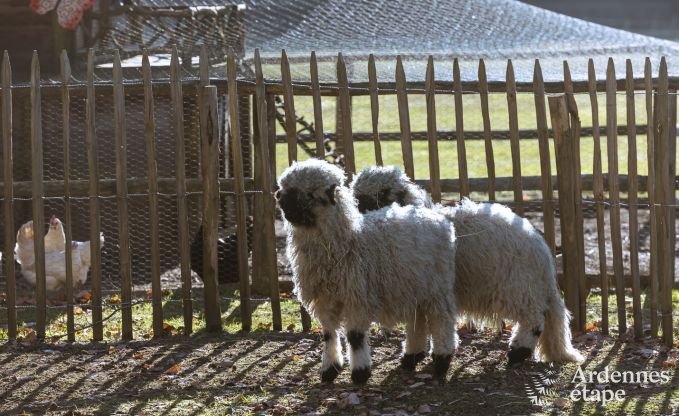 Vakantiehuis in Houffalize voor 9 personen in de Ardennen