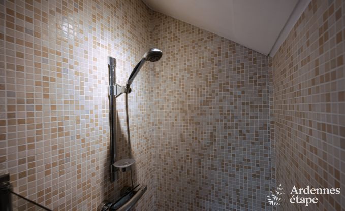 Vakantiehuis in Houffalize voor 9 personen in de Ardennen