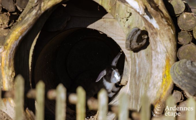 Vakantiehuis in Houffalize voor 9 personen in de Ardennen