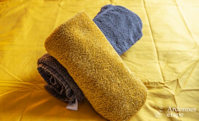 Vakantiehuis in Houffalize voor 9 personen in de Ardennen