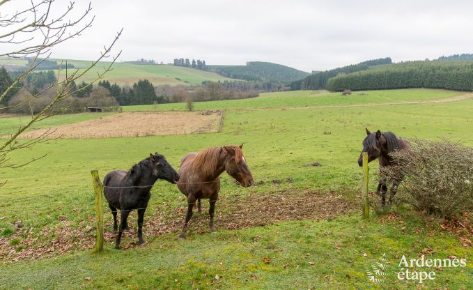 Chalet in Houffalize voor 4/6 personen in de Ardennen