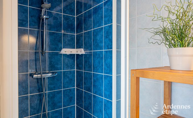 Vakantiehuis in Houffalize voor 11 personen in de Ardennen