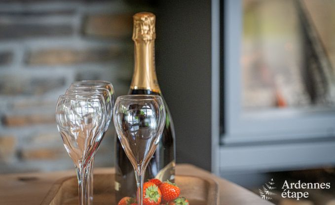 Ruim en comfortabel vakantiehuis in Houffalize, Ardennen