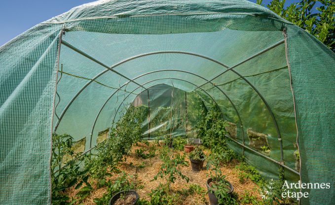 Vakantiehuis voor 9 personen in Wanlin met 4 slaapkamers en omheinde tuin