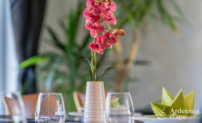 Vakantiehuis voor 9 personen in Wanlin met 4 slaapkamers en omheinde tuin