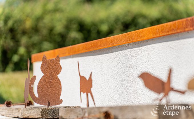 Vakantiehuis voor 9 personen in Wanlin met 4 slaapkamers en omheinde tuin