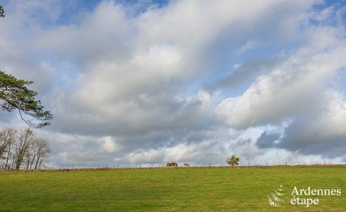 Afgelegen vakantiehuis met zwembad in Houyet, Ardennen