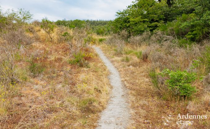 Vakantiehuis in Houyet voor 30 personen in de Ardennen