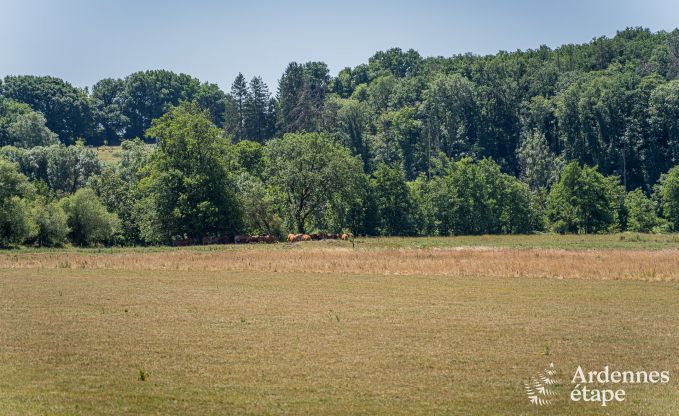 Ruime vakantiewoning in Houyet voor 12 personen met 5 slaapkamers, grote speelruimte en priv�terras